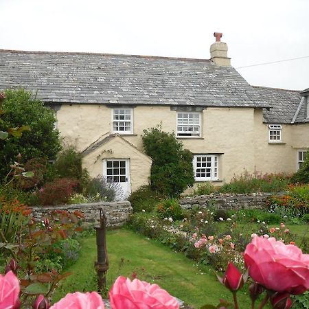 Higher Tresmorn Farm Bed & Breakfast Crackington Haven Екстериор снимка