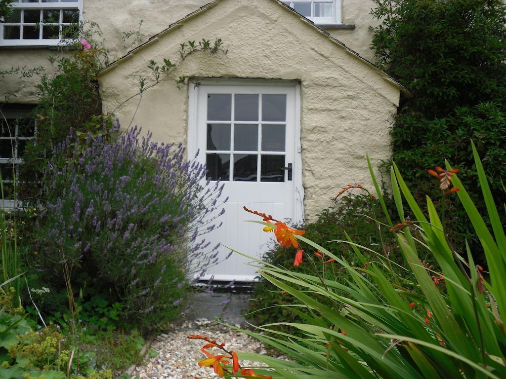 Higher Tresmorn Farm Bed & Breakfast Crackington Haven Екстериор снимка